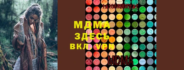 дживик Туринск