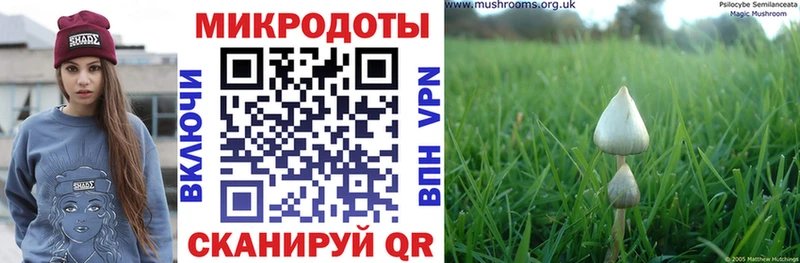 Галлюциногенные грибы прущие грибы  цена наркотик  Рубцовск 